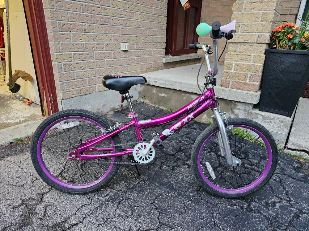 20" bicycle with protection thumbnail