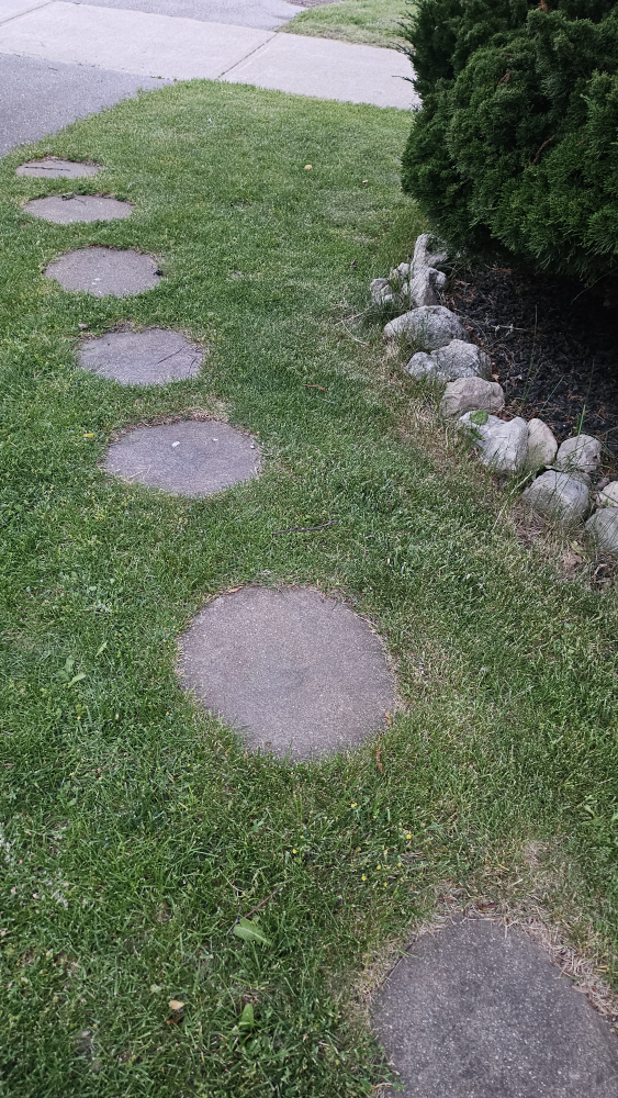 Garden Stepping Stones - Set of 6