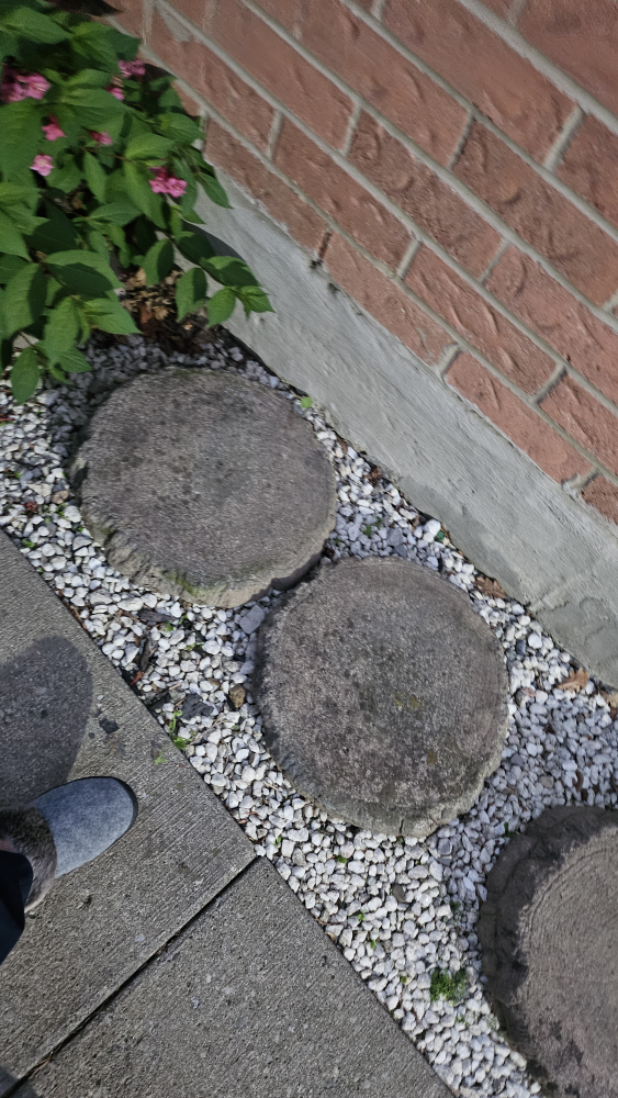 Garden Stepping Stones - Set of 6 - photo 3
