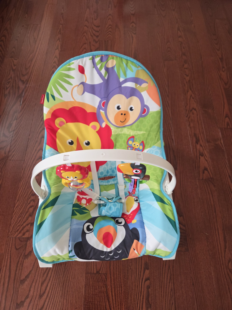 Fisher-Price Infant Rocking Chair - photo 4