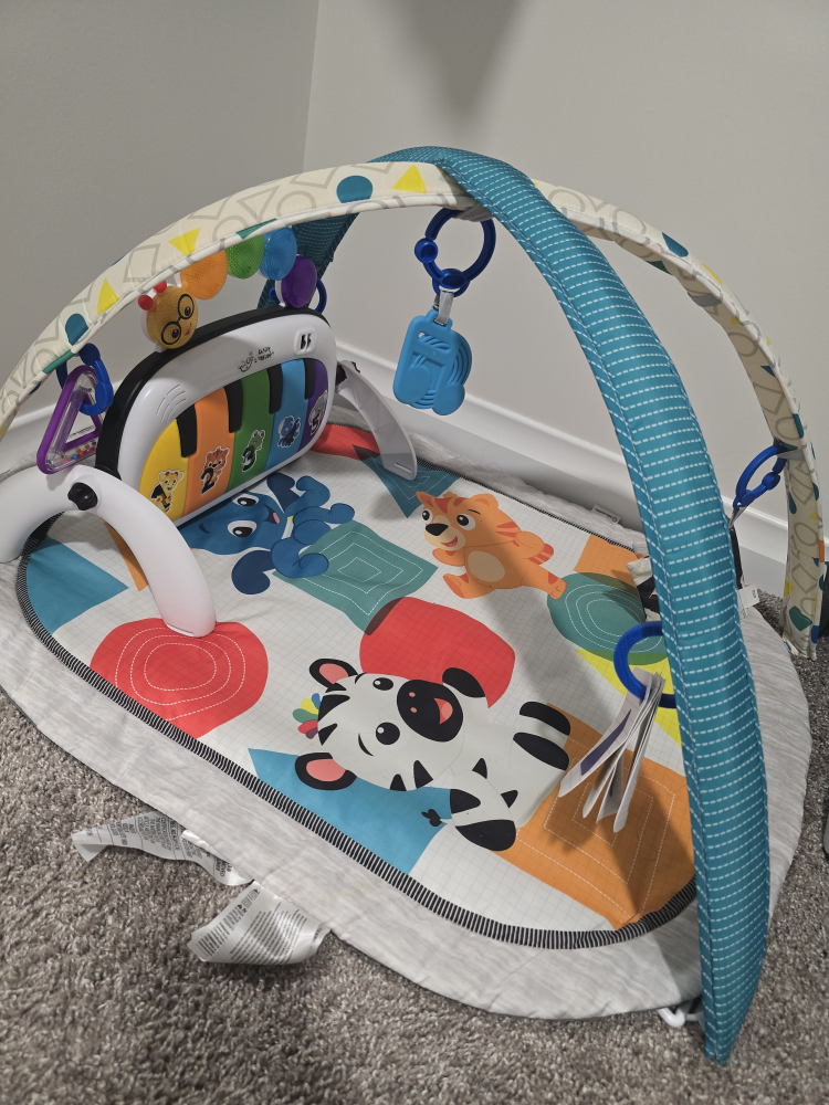 Baby Play Mat with Toys