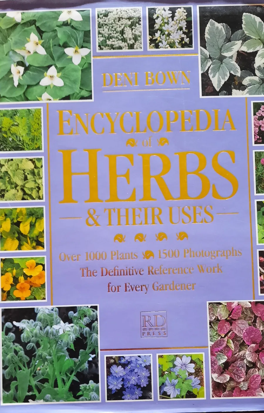 Encyclopedia of Herbs by Deni Bown thumbnail