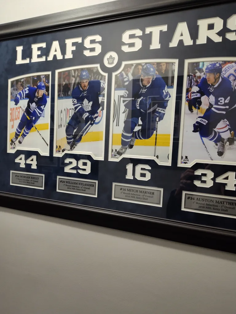Toronto Maple Leafs Framed Display image indicator(2)