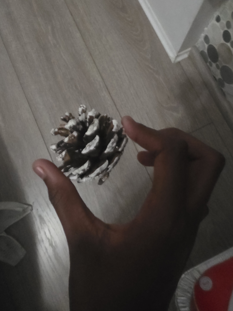 decoration