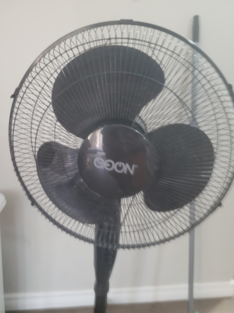 Goon Standing Fan - Black