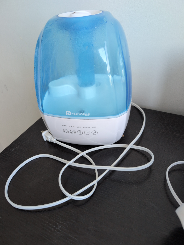 Dreamegg Humidifier