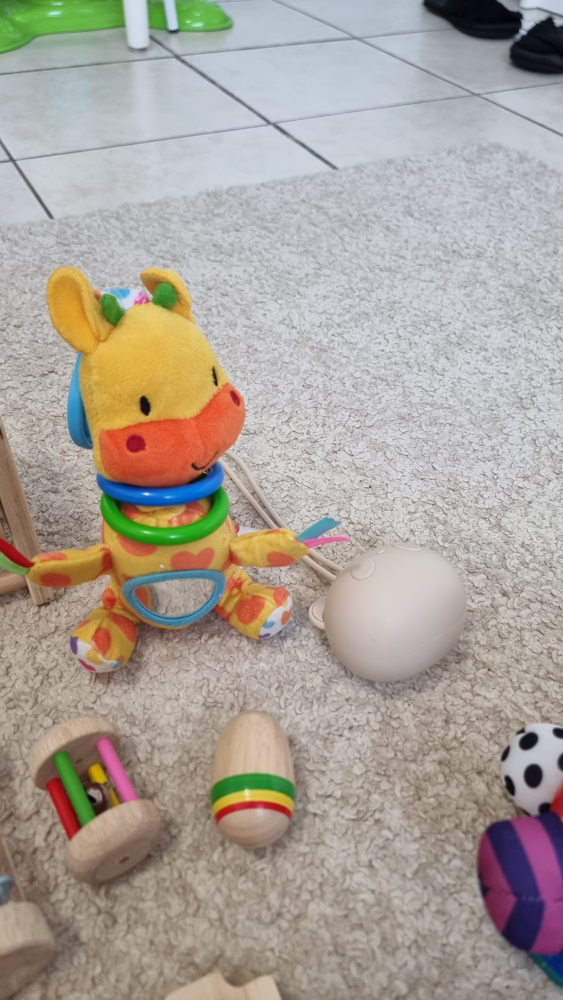 Assorted Baby Toys Bundle
