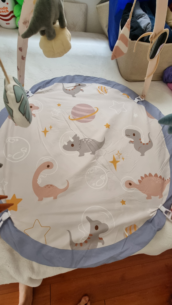 Play Mat Arch with Toys