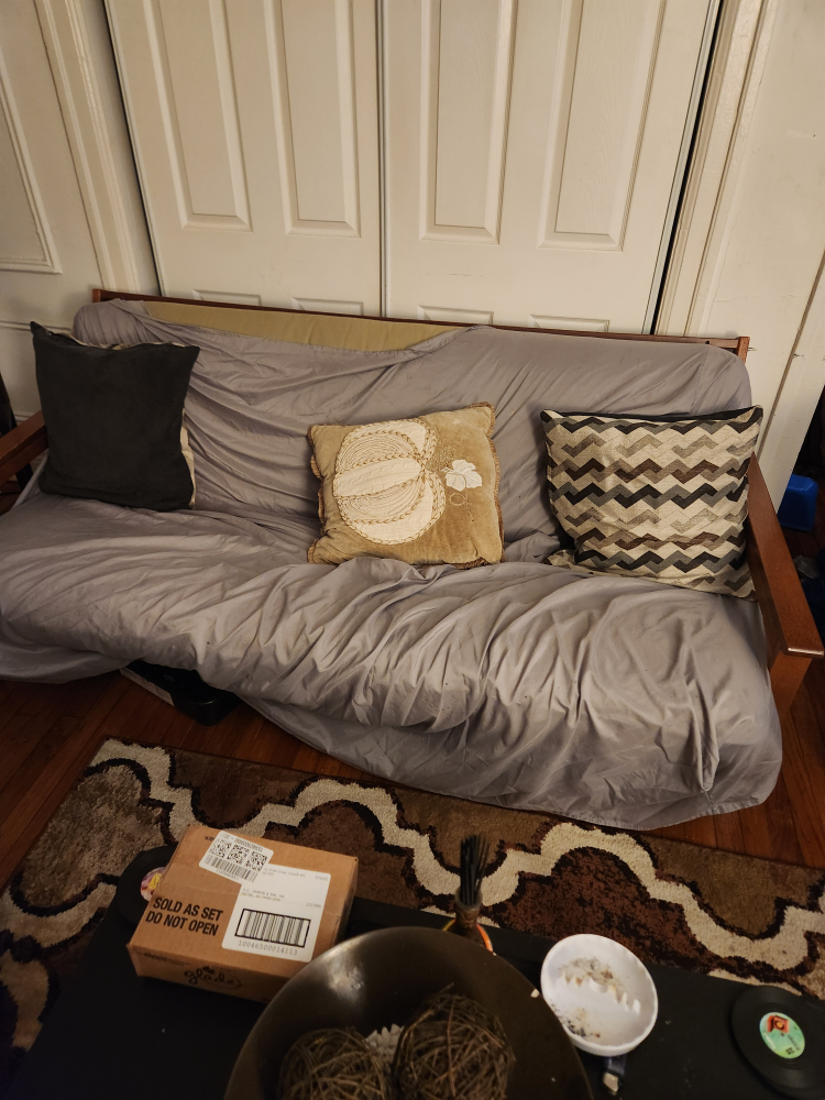 Futon Couch with Cushions