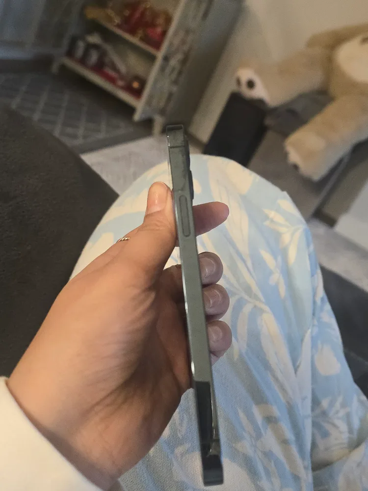 iPhone 12 pro image indicator(4)