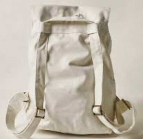 Laude the Label Canvas Convertible Backpack - photo 3