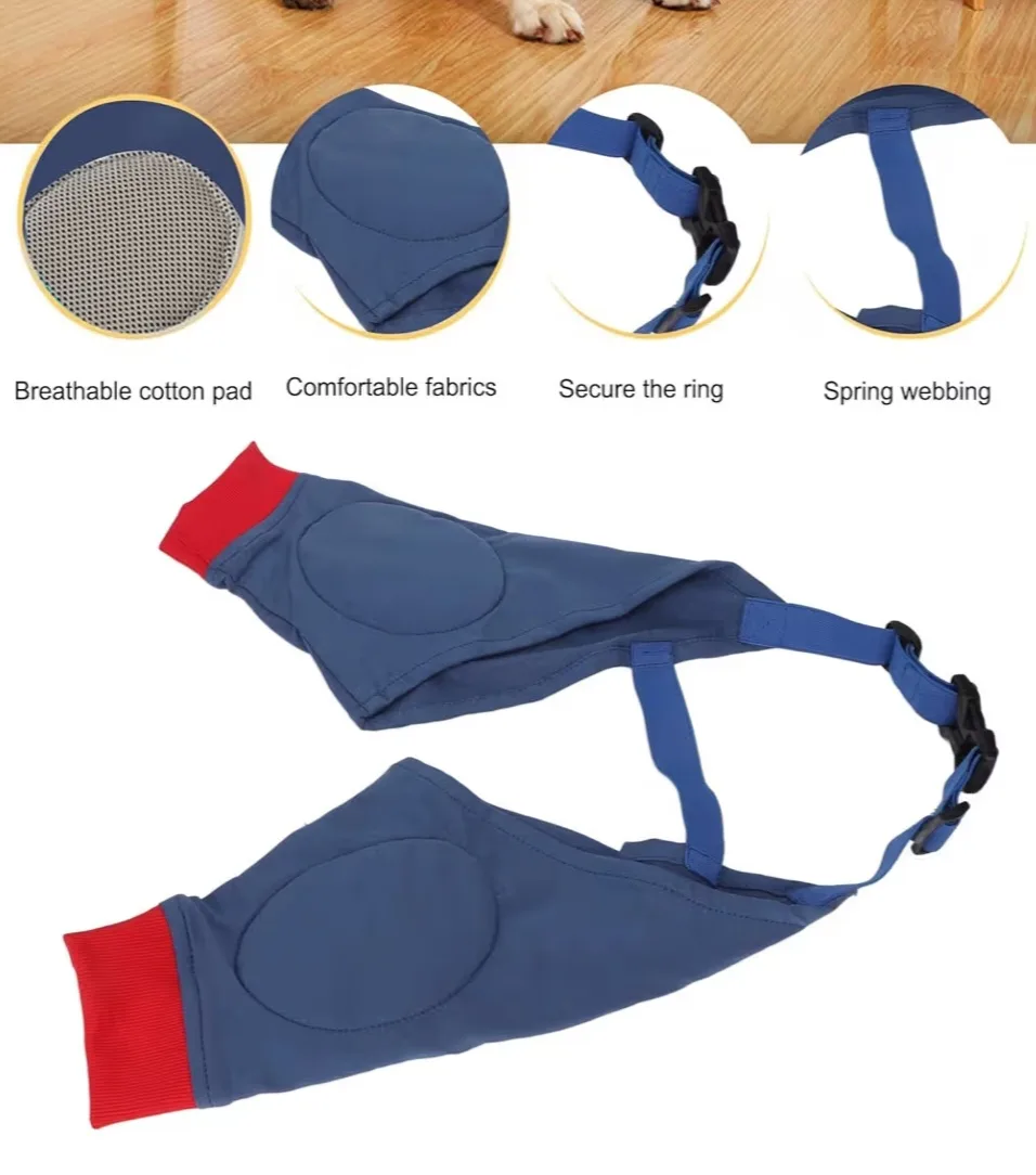 Dog Front Leg Braces - Size XL image indicator(2)