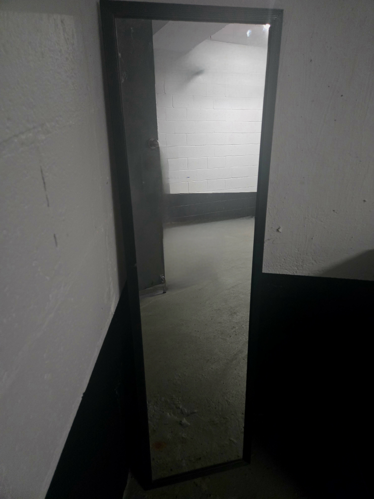 Full-Length Mirror - photo 3