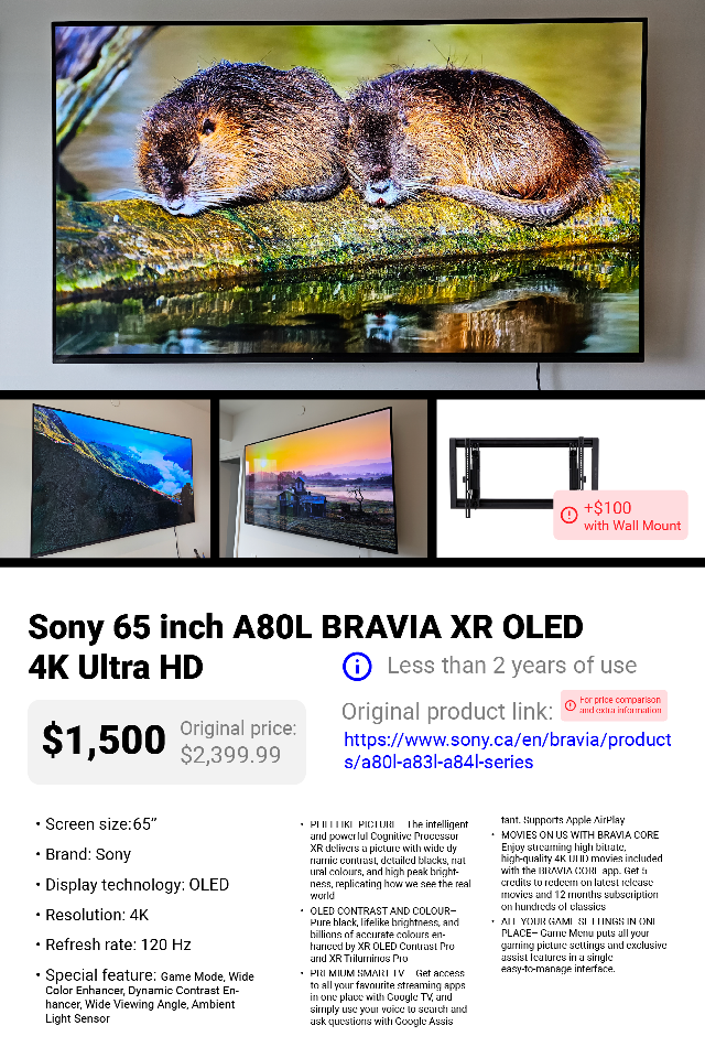 Sony 65 inch A80L BRAVIA XR OLED 4K Ultra HD TV - photo 4