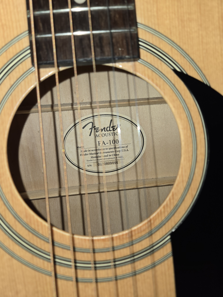 Fender FA-100 acoustic guitar - photo 2