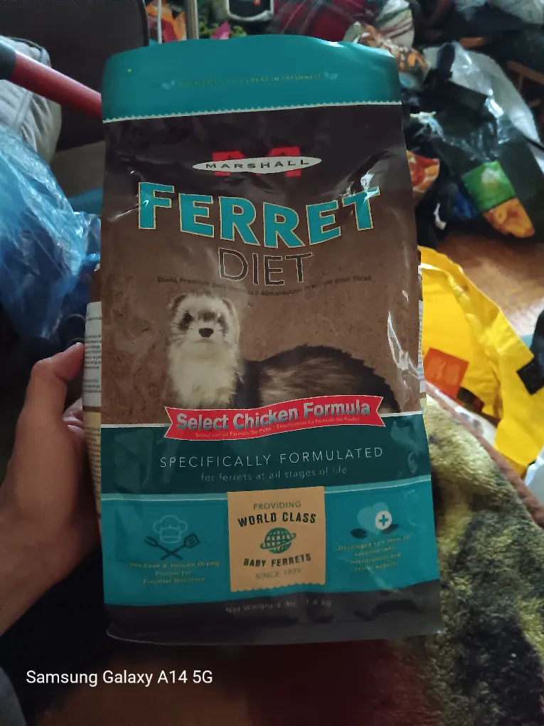 Marshall Ferret Diet thumbnail