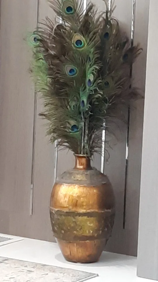 Decorative Vase with Peacock Feathers thumbnail