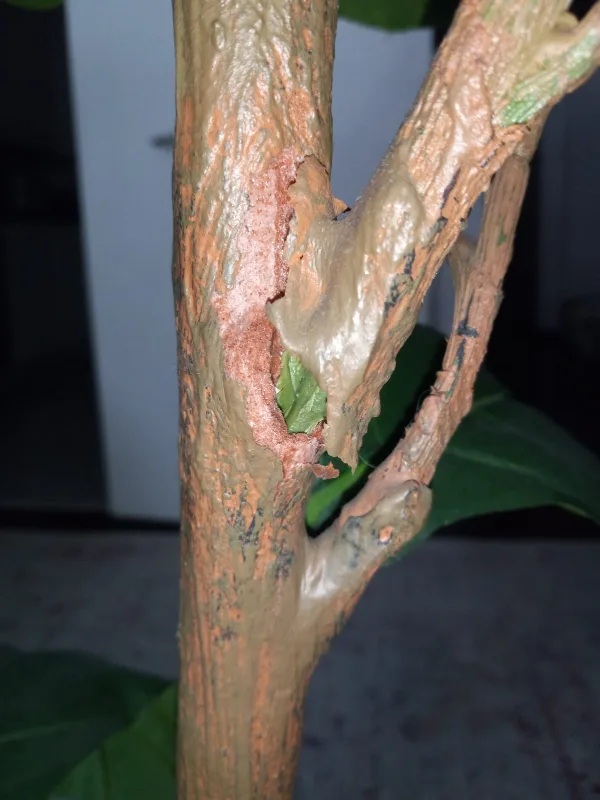 Pottery Barn Artificial Fig Tree image indicator(6)