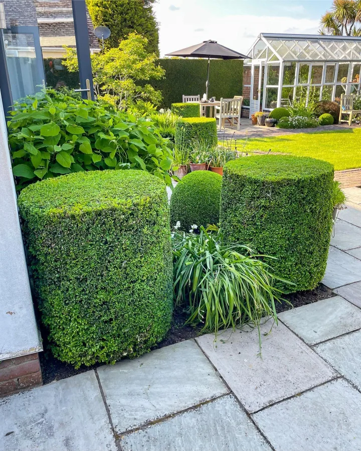 hedge trimming image indicator(2)