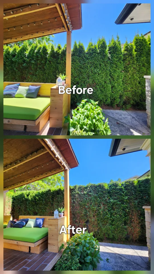 hedge trimming image indicator(7)