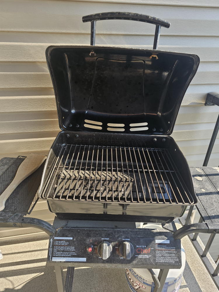 Outdoor Propane BBQ Grill - photo 2