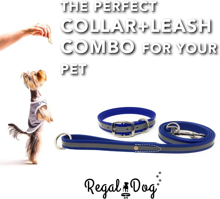 Reflective Collar and Leash Set - Size S image indicator(4)