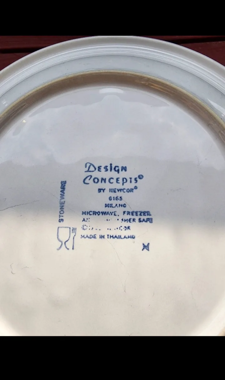 Stoneware Plates (6) image indicator(4)