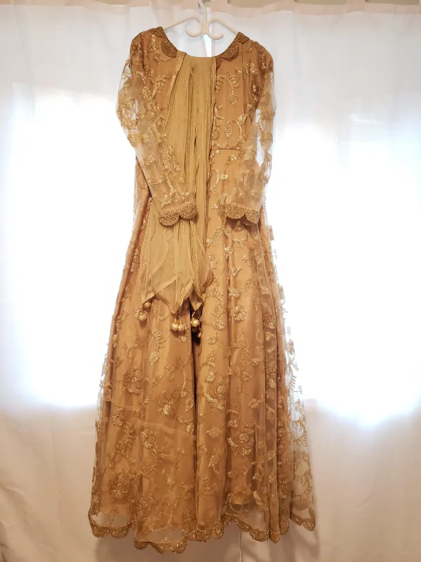 Golden Embroidered Gown thumbnail