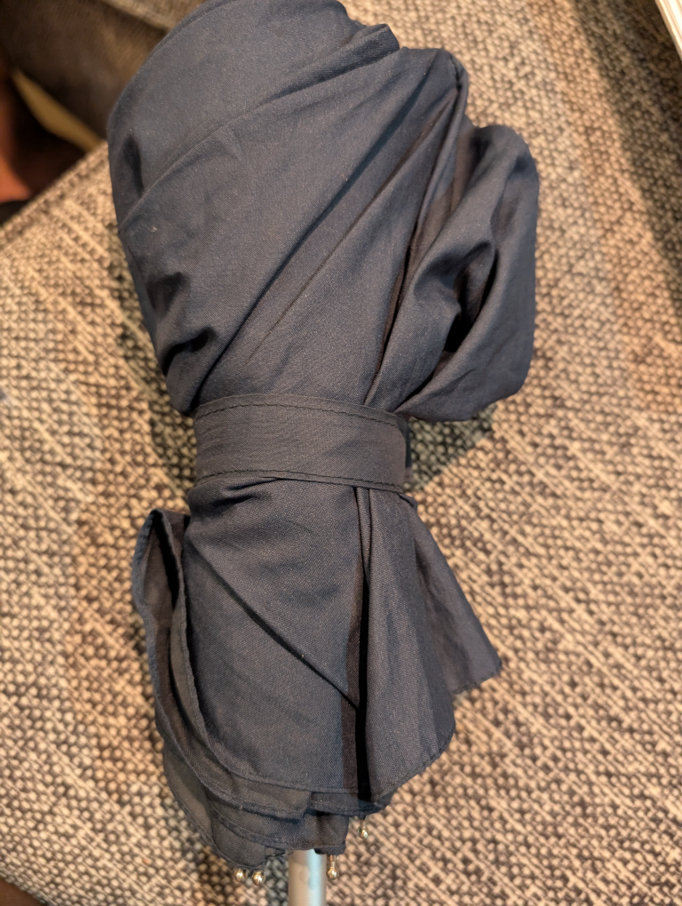 Navy Blue Umbrella#freecycle