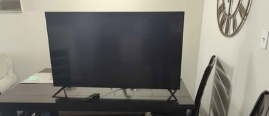 50 inch TV Insignia (Best Buy brand) + Chromecast with Google TV