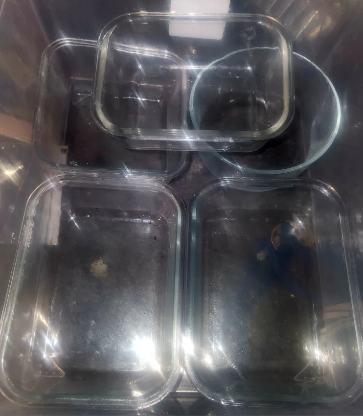 5Lidless Glass Food Containers Set 2 Glass Tupperwares with Lids thumbnail
