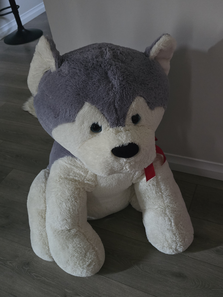 Large Husky Plush Toy