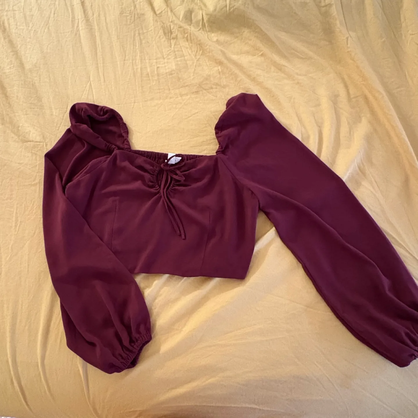 Maroon Long Sleeve Crop Top thumbnail