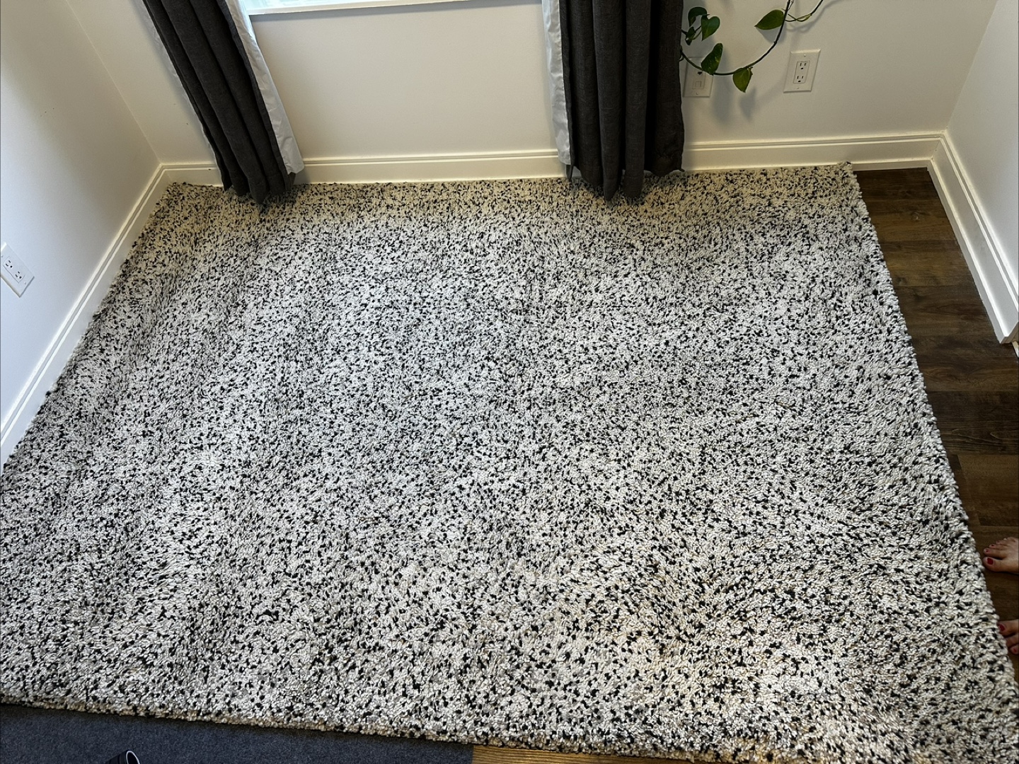 IKEA Area Rug (8 x 5 ft) - Needs to be picked June 2