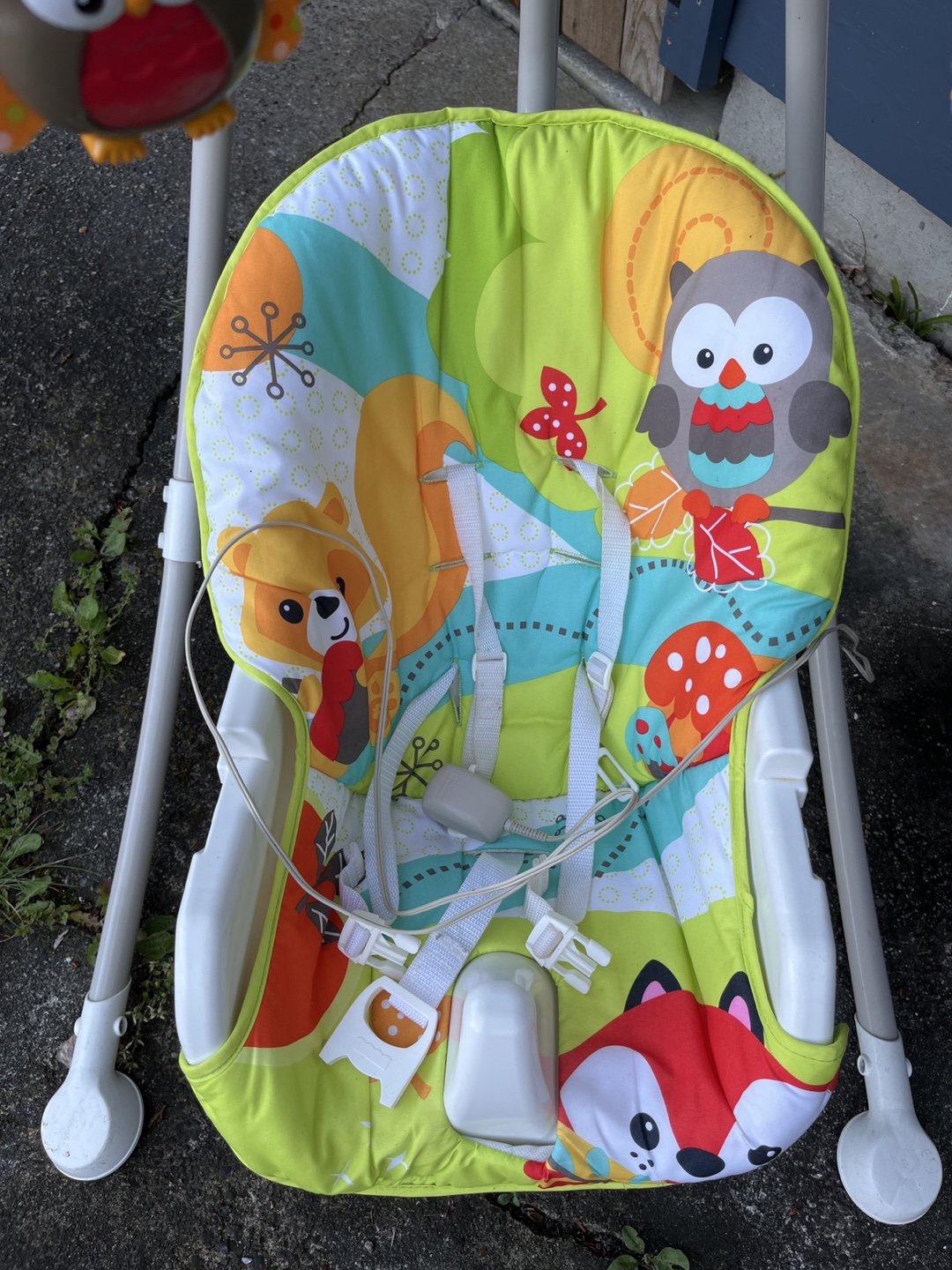Fisher-Price Baby Swing - photo 4