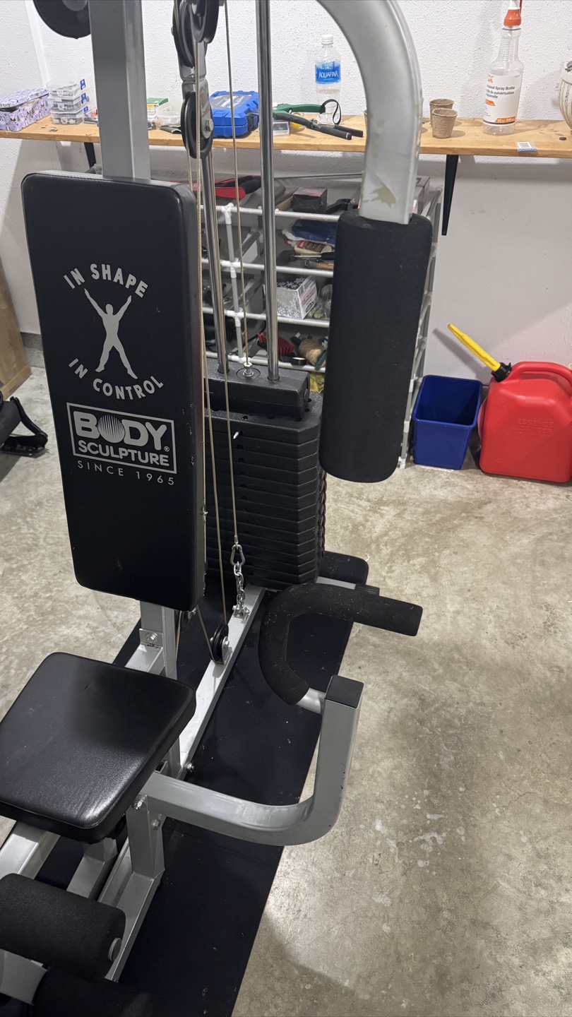 Body Sculpture Home Gym - photo 4