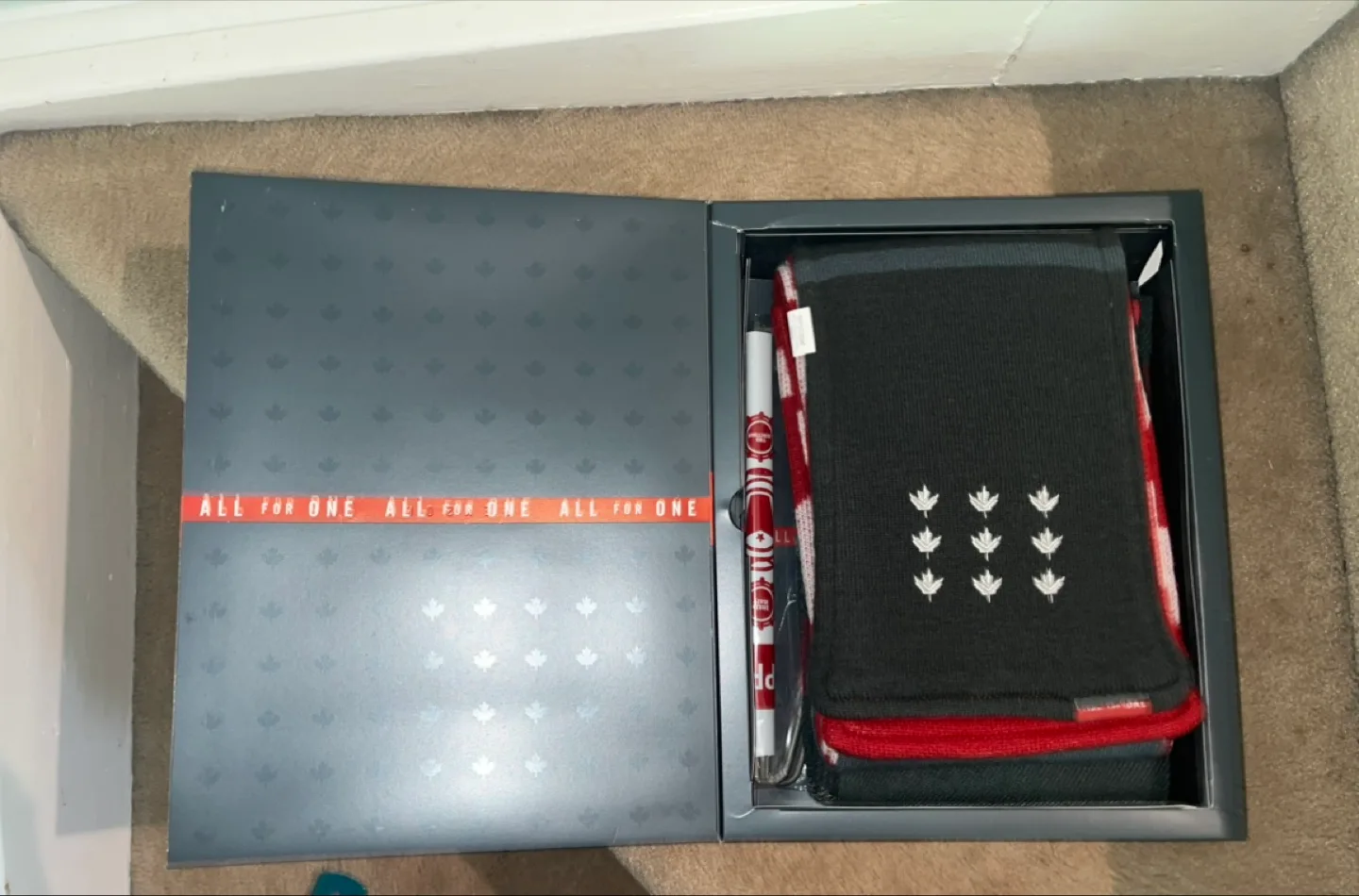 Toronto FC Memorabilia seasons Box Set image indicator(2)