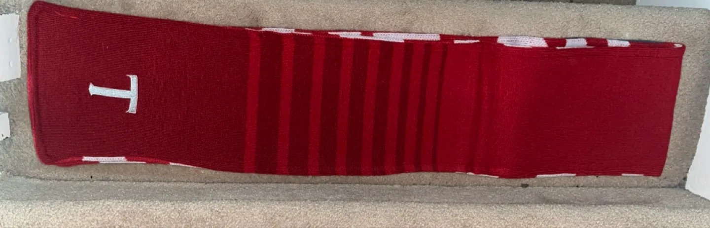 Toronto FC Memorabilia seasons Box Set image indicator(3)