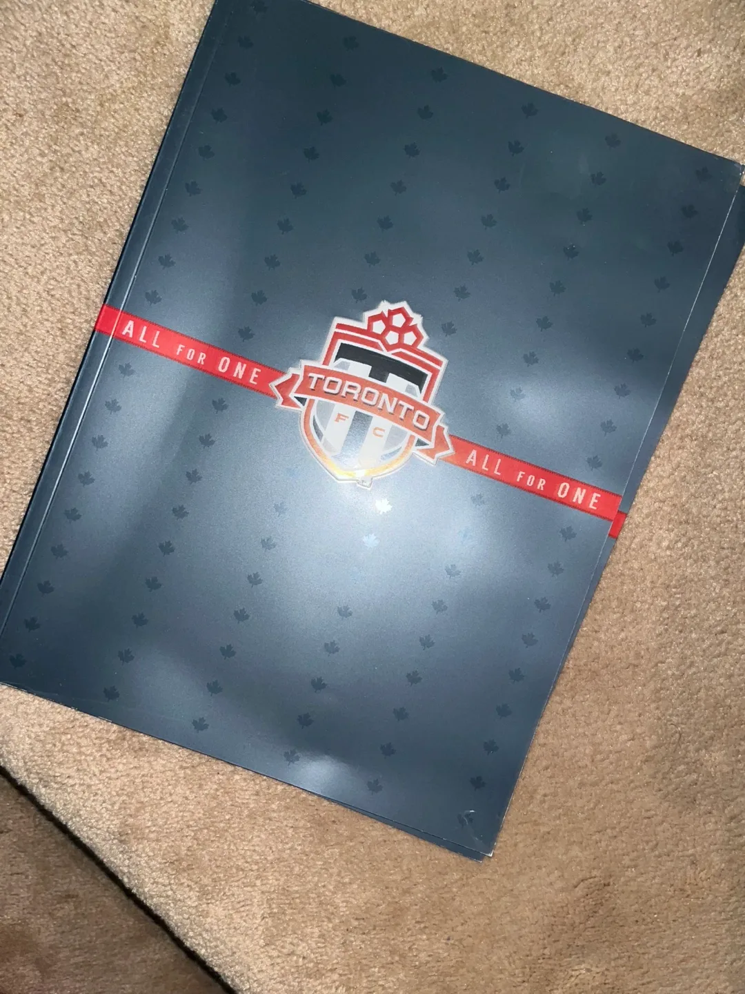 Toronto FC Memorabilia seasons Box Set image indicator(6)