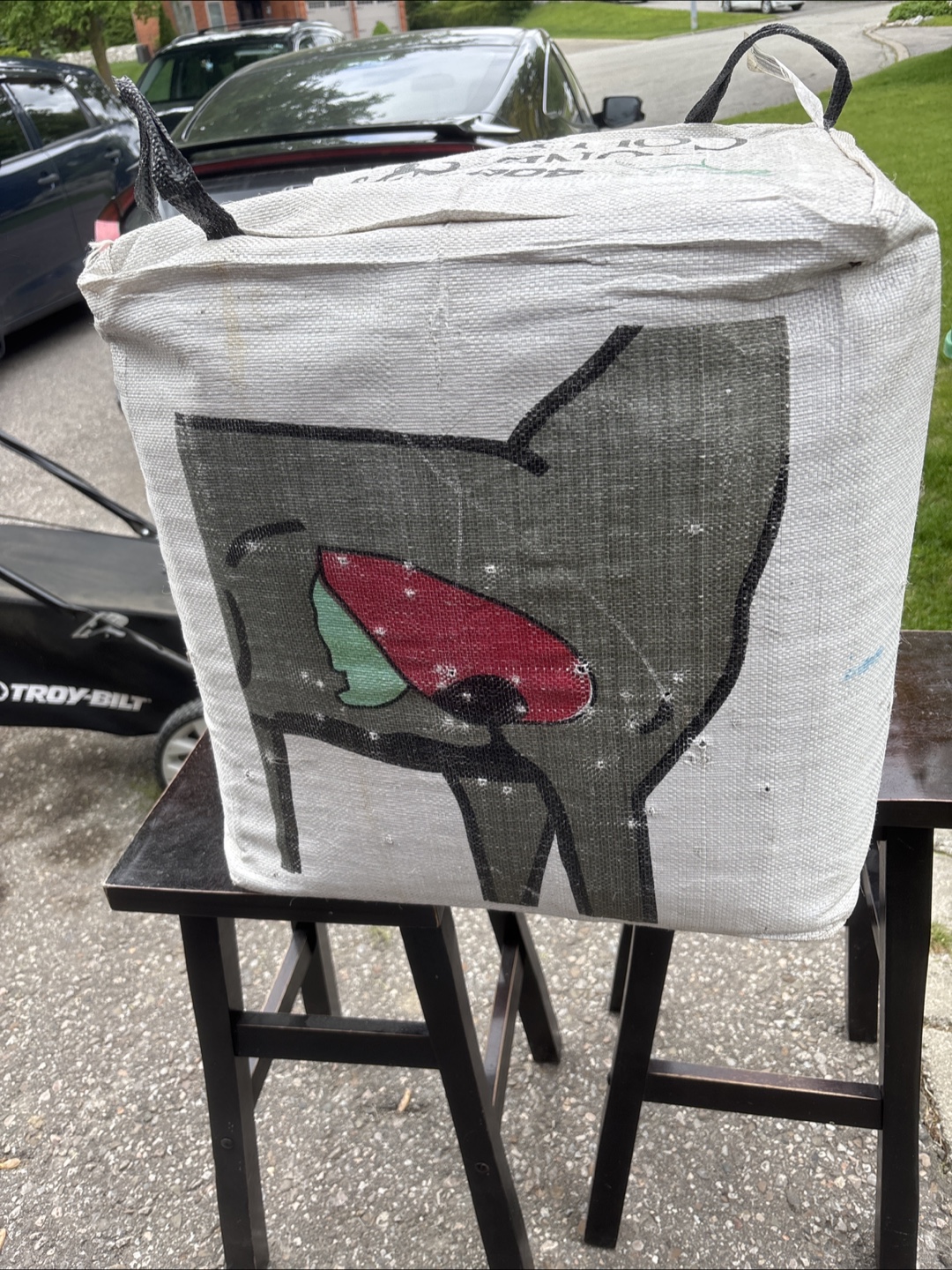 Archery target - photo 5