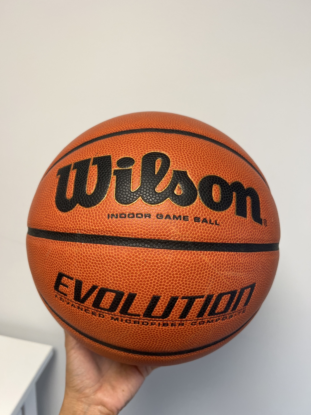 Wilson Evolution Indoor Game Basketball