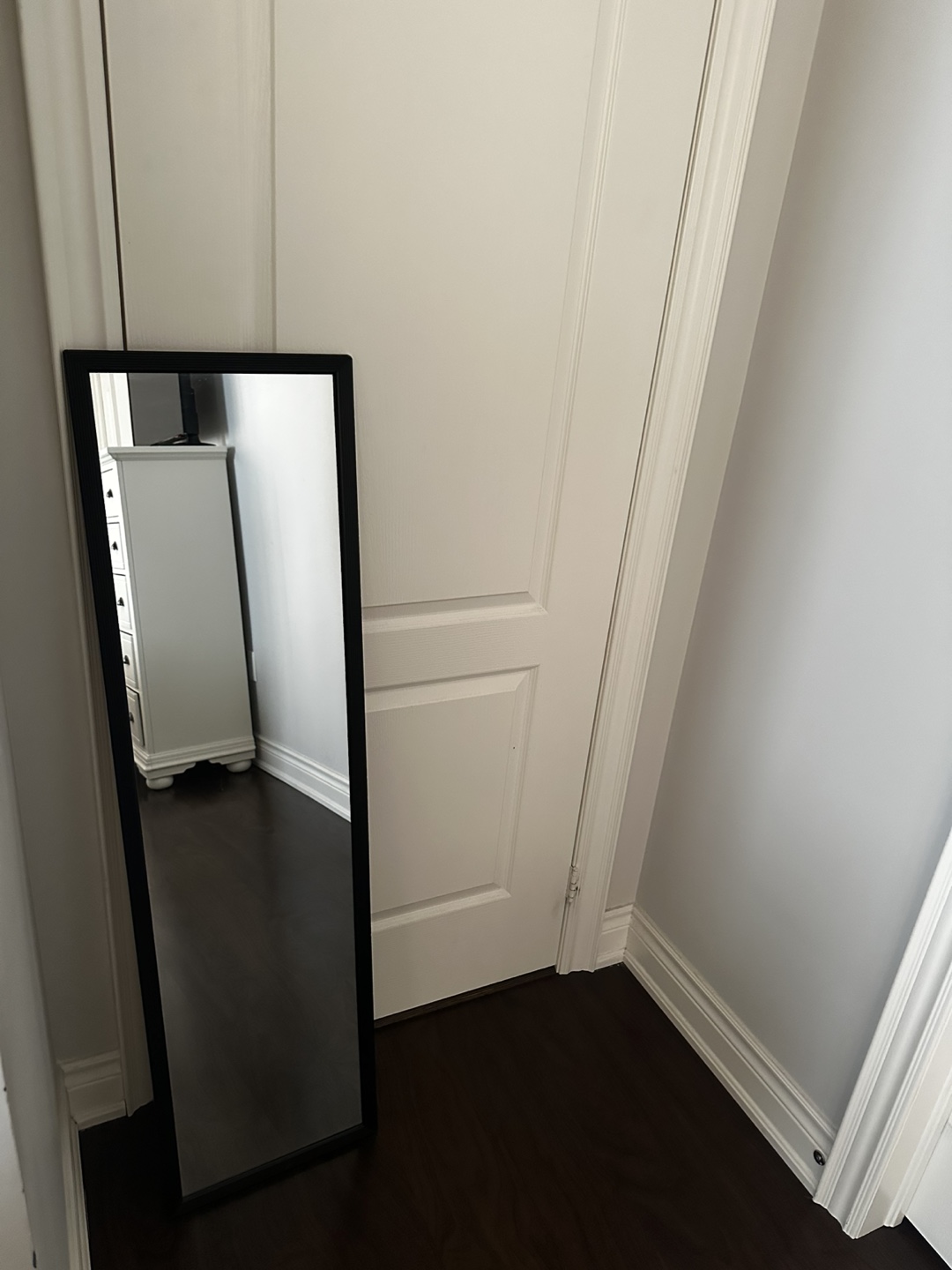 Full Length Mirror with Black Frame