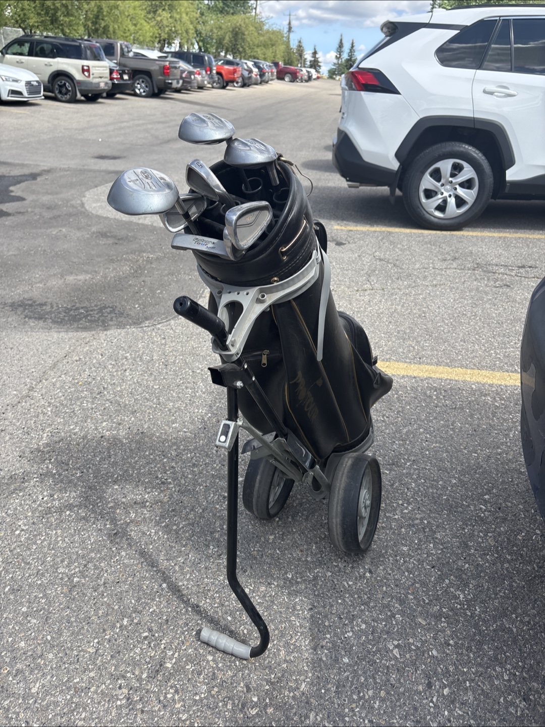 Complete Set of Golf Clubs with Bag and Cart for Junior