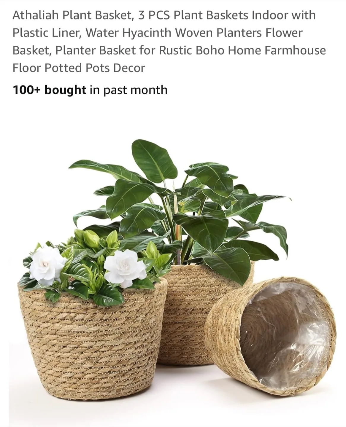 Woven Plant Baskets thumbnail