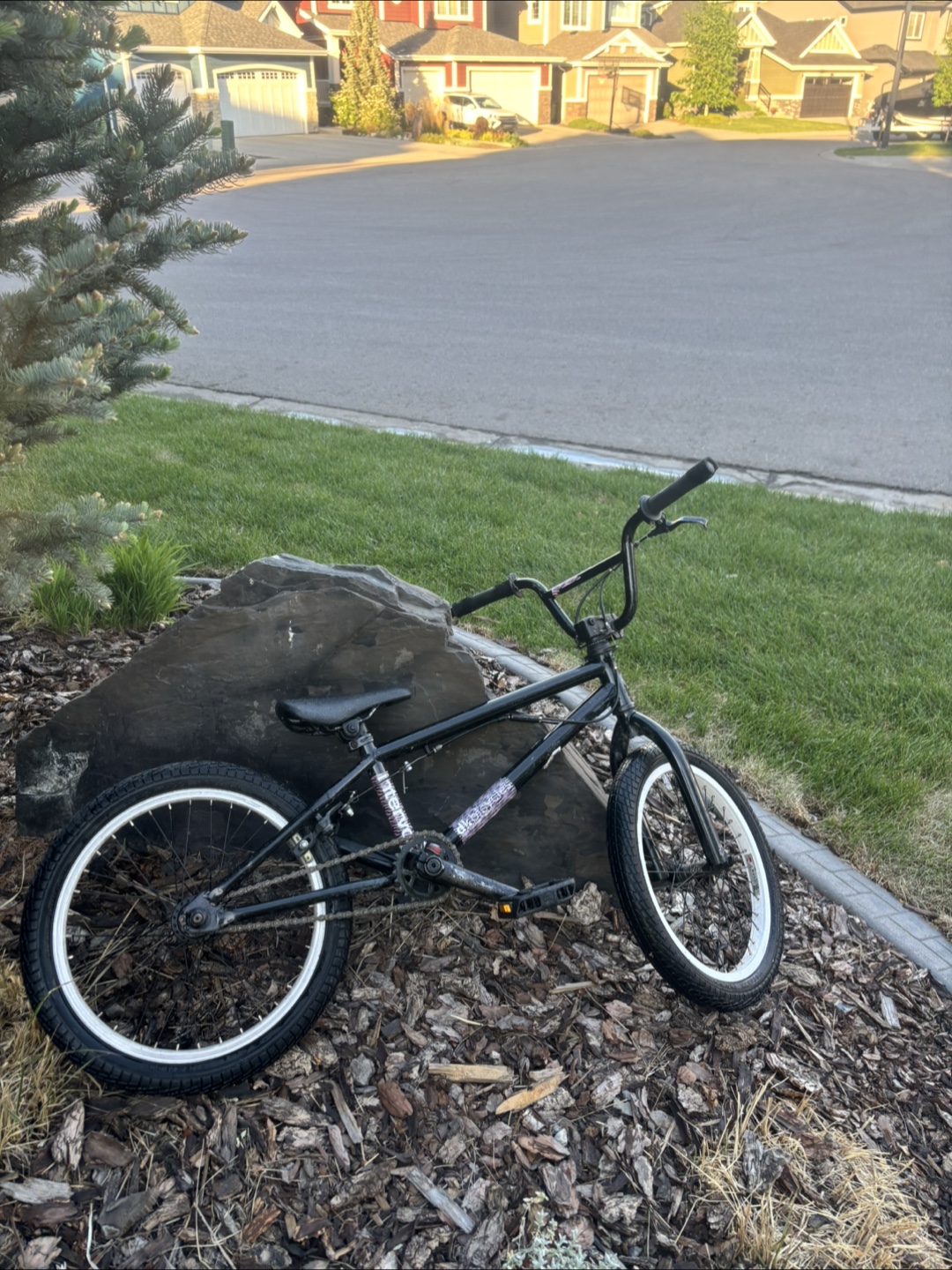 Black BMX Bike with White Rims - photo 2