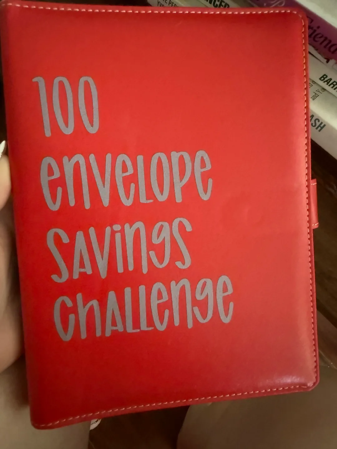 100 Envelope Savings Challenge Binder thumbnail