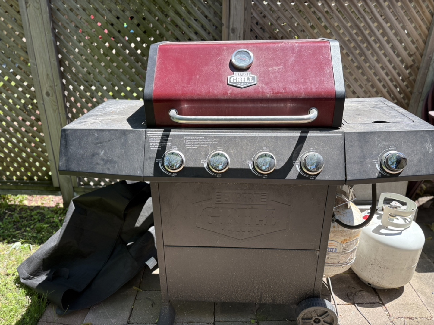 Expert grill - photo 2