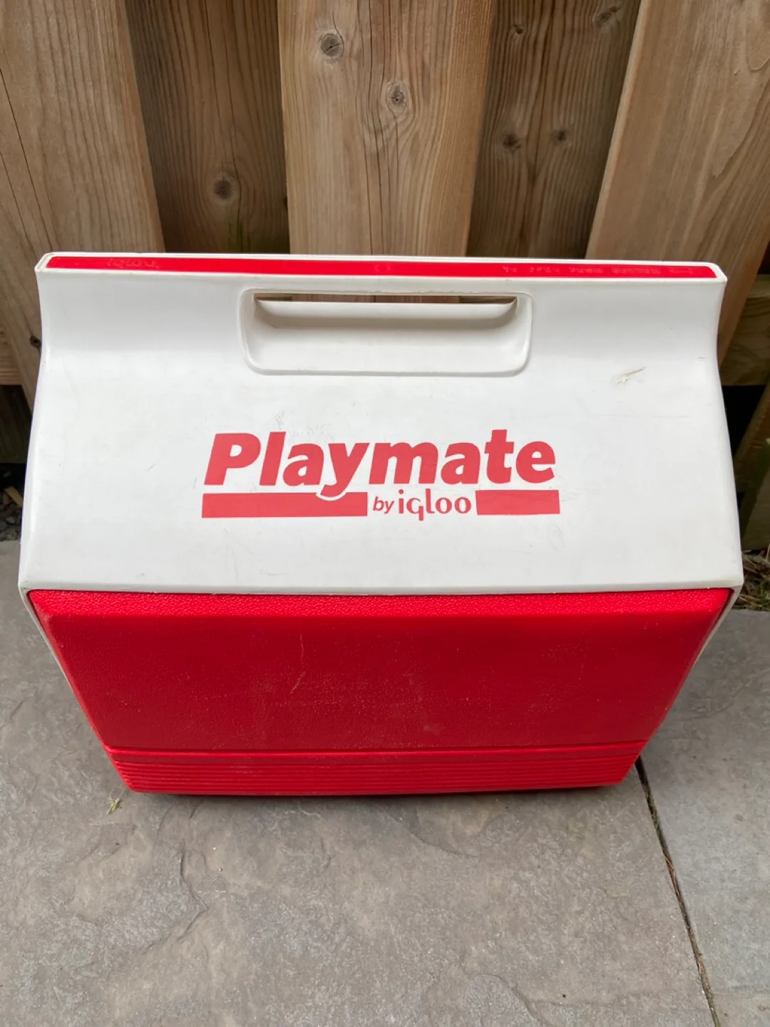 Playmate by Igloo Cooler thumbnail