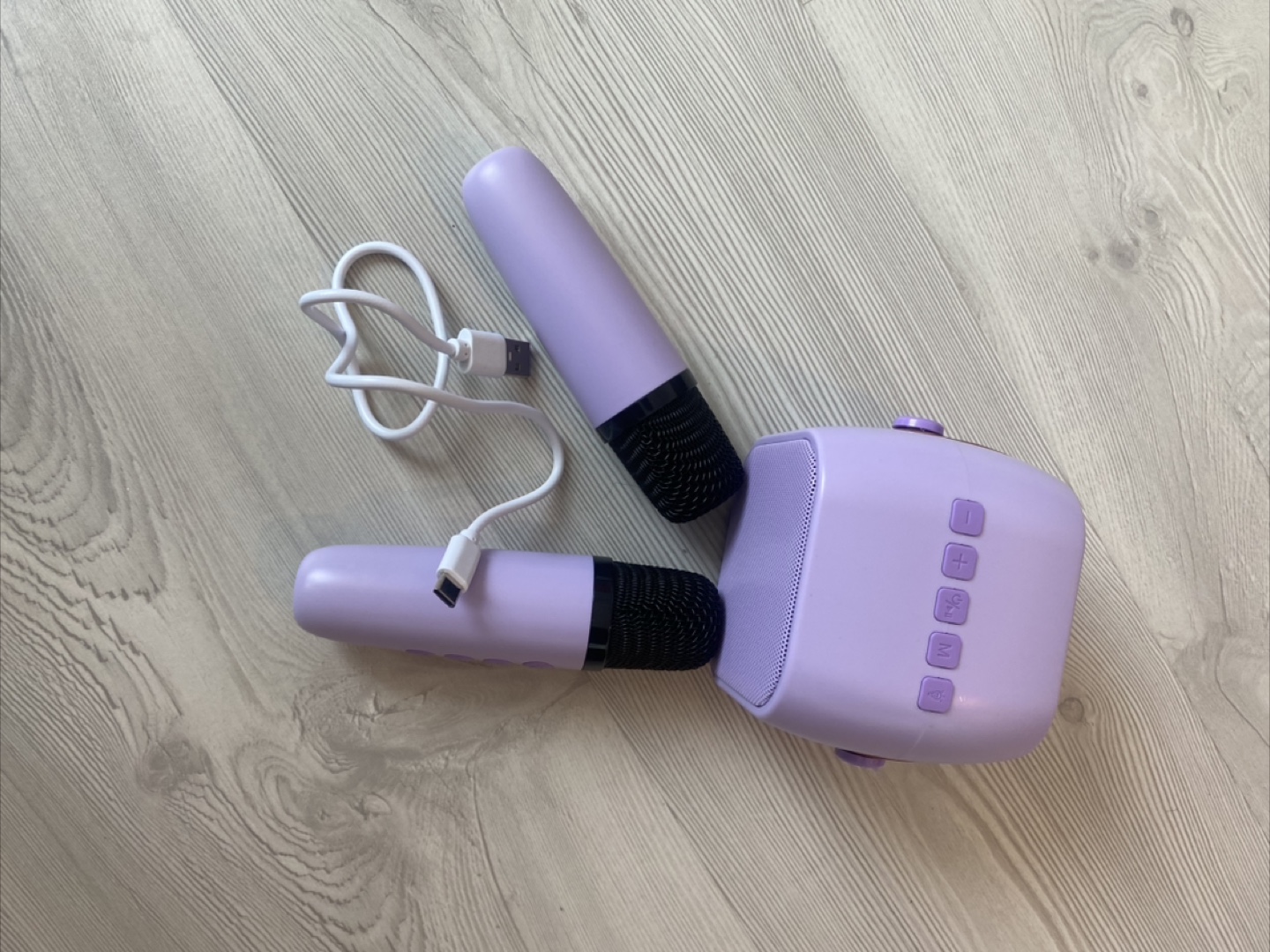 Niskite Karaoke Machine - photo 2