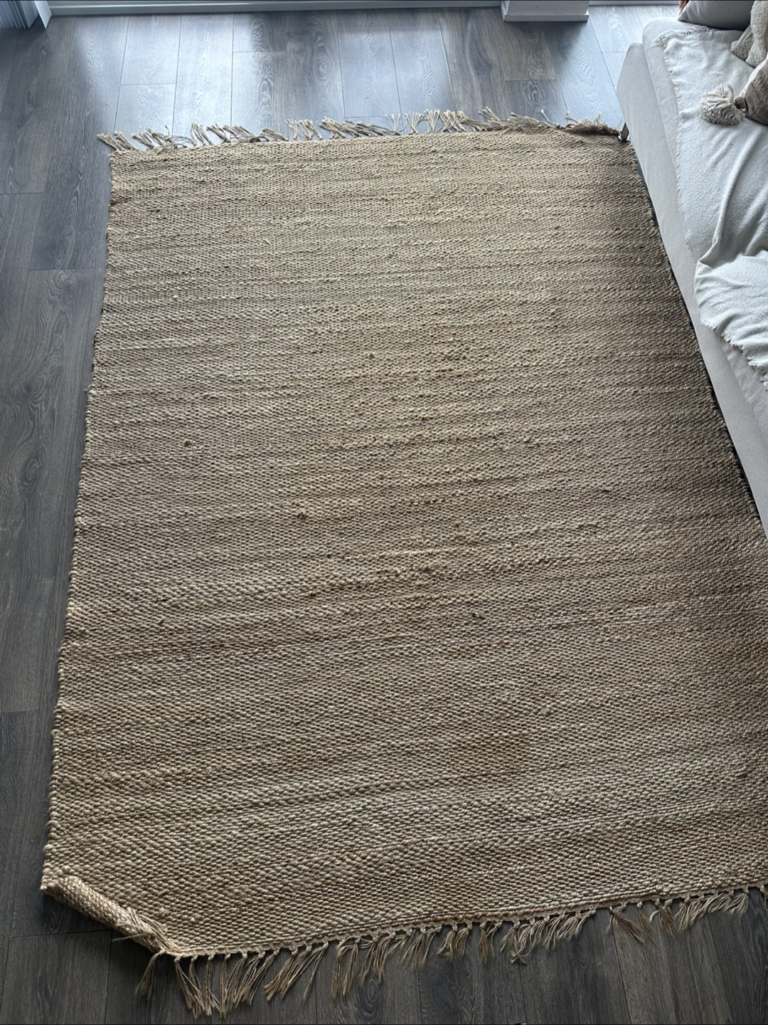 STRUCTUBE Beige Jute Area Rug